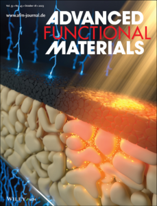 Understanding the photothermal and photocatalytic mechanism of polydopamine coated gold nanorods