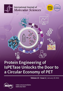 Recent advances in metallic nanoparticle assemblies for surface-enhanced spectroscopy