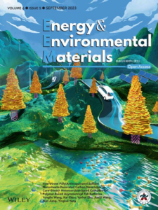 Encapsulation protocol for flexible perovskite solar cells enabling stability in accelerated aging tests