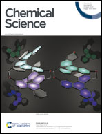 Cooperativity between sodium ions and water molecules facilitates lipid mobility in model cell membranes