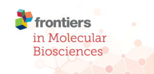 Distinct effects of progesterone and cholesterol on lipid membranes: insights from biophysical experiments and molecular dynamics simulations